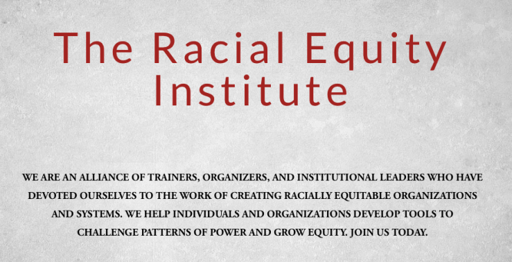 Racial Equity Institute image